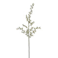 Brassia Spider Orchid spray 48"L