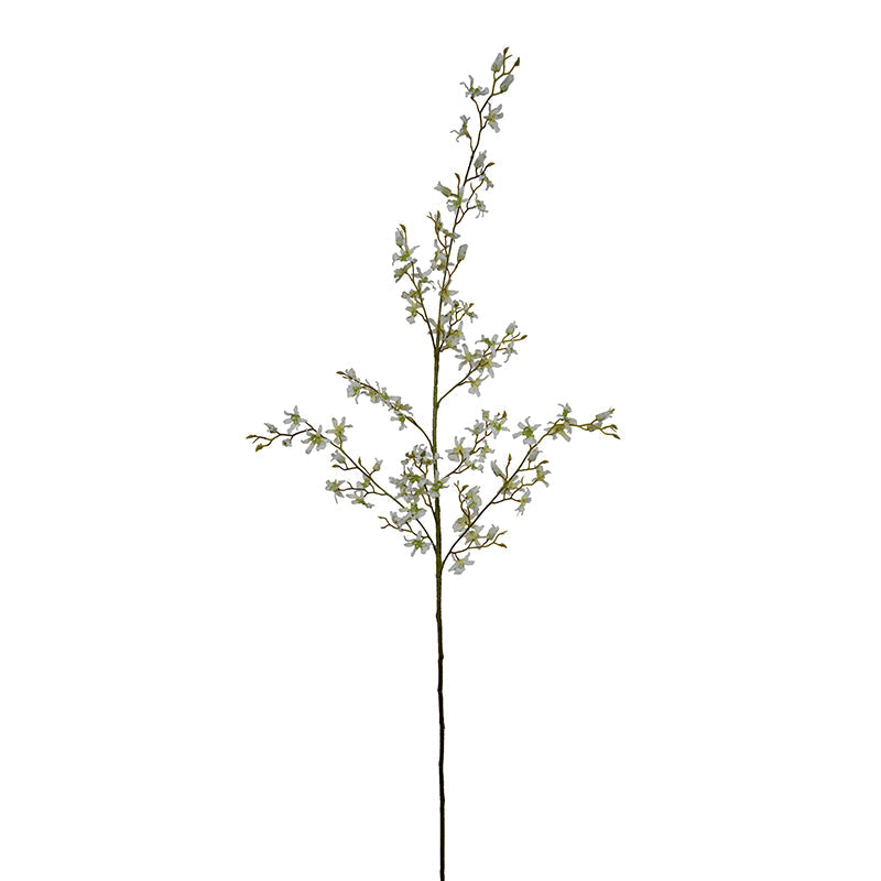 Brassia Spider Orchid spray 48"L
