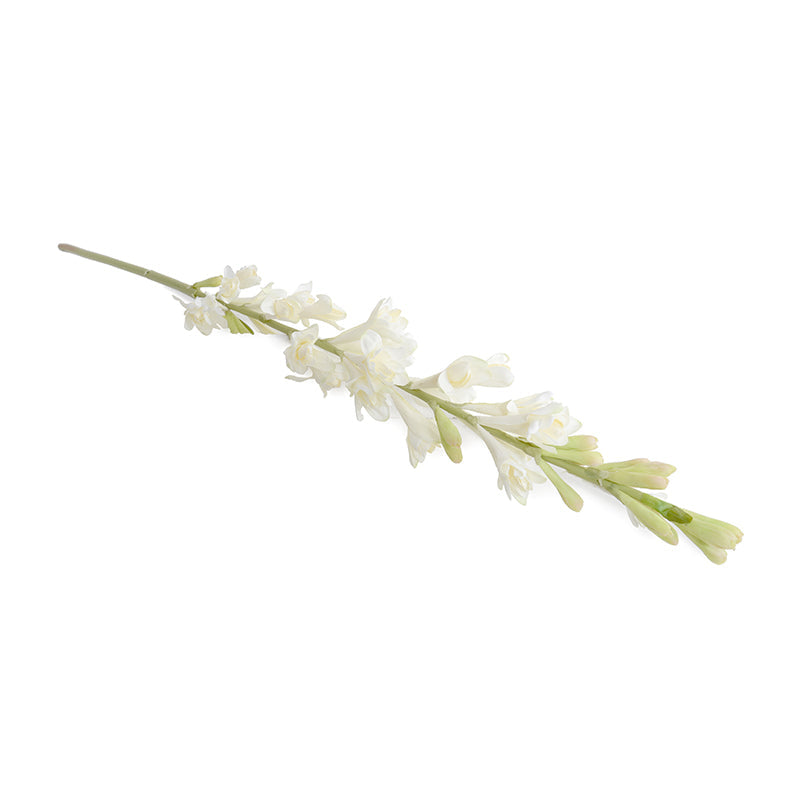 Tuberose flower stem, 35"L
