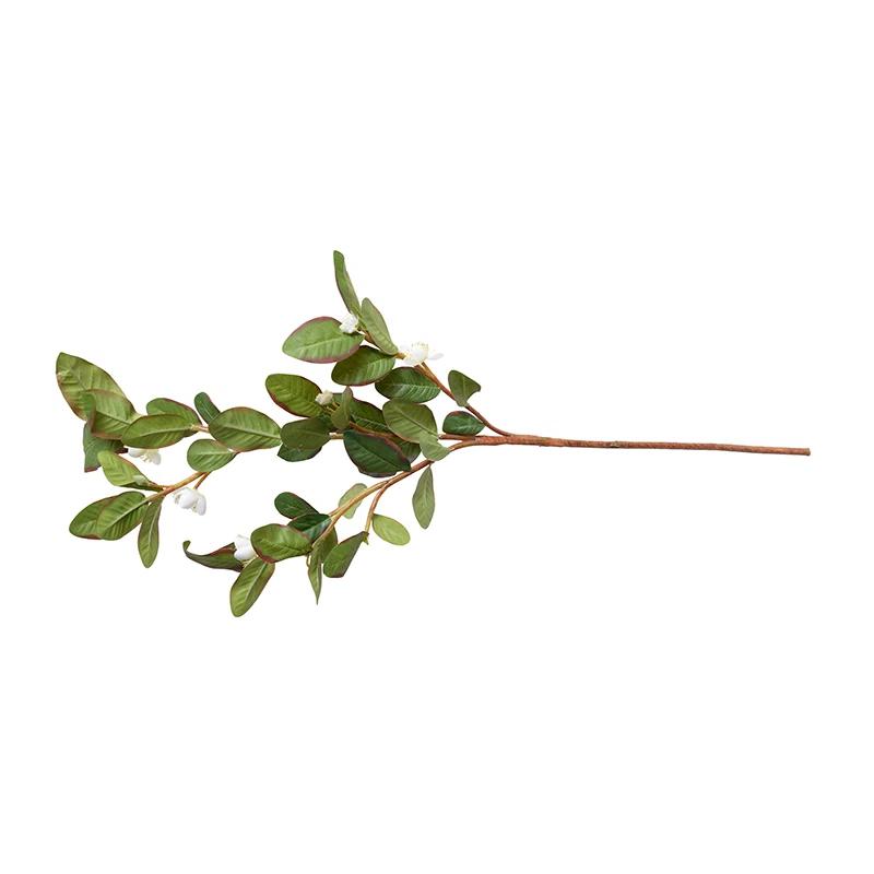 Pomegranate Branch, 32" L - White Flowers