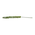 Bells of Ireland Stem, 42" L
