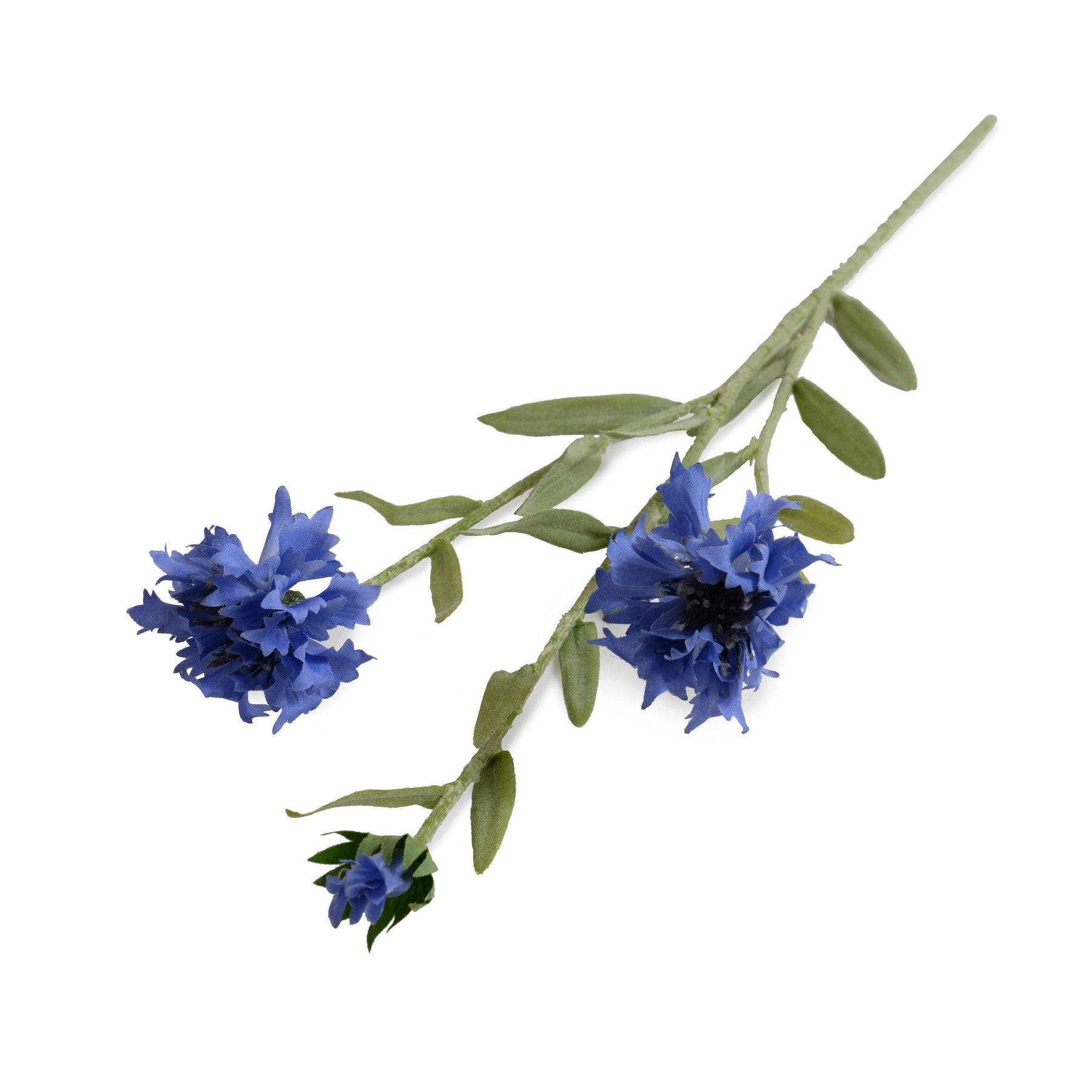 Bachelor's Button (Cornflower) stem, 23" L - Medium Blue