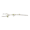 Peach Blossom Branch, 52" L