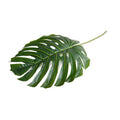 Monstera Leaf Branch, 52"L
