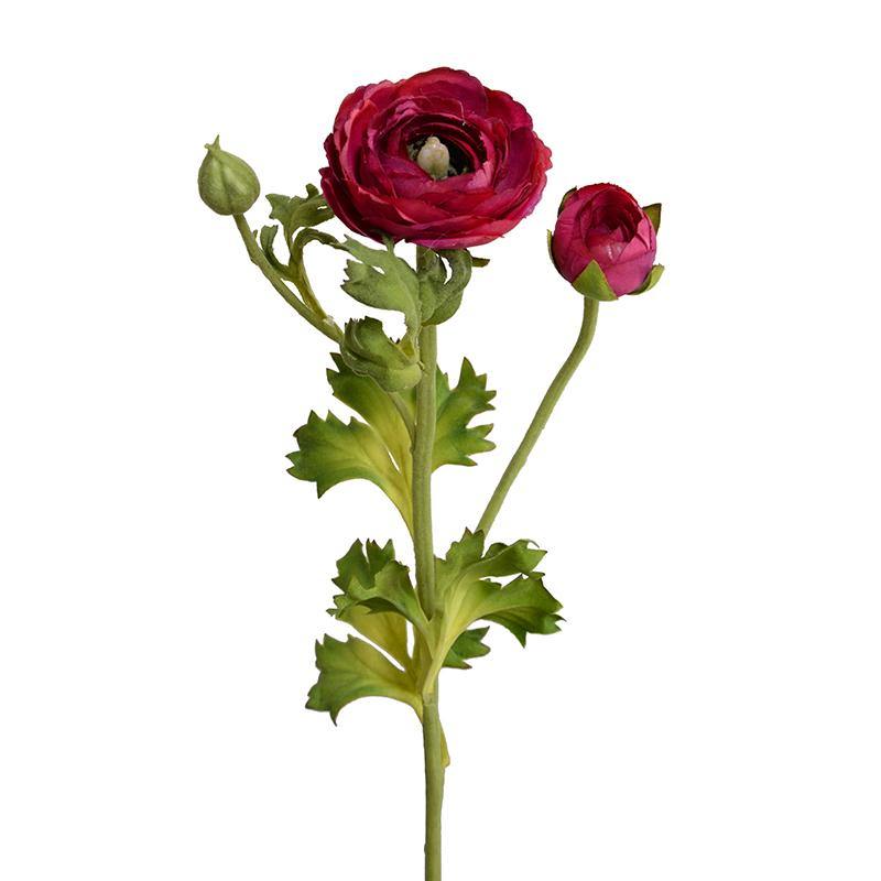 Ranunculus Spray, 14.5" - Beauty