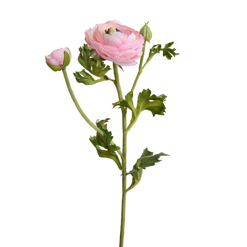 Ranunculus Spray, 14.5" - Light Pink