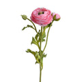 Ranunculus Spray, 14.5" - Dark Pink