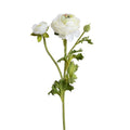 Ranunculus Spray, 14.5" - White