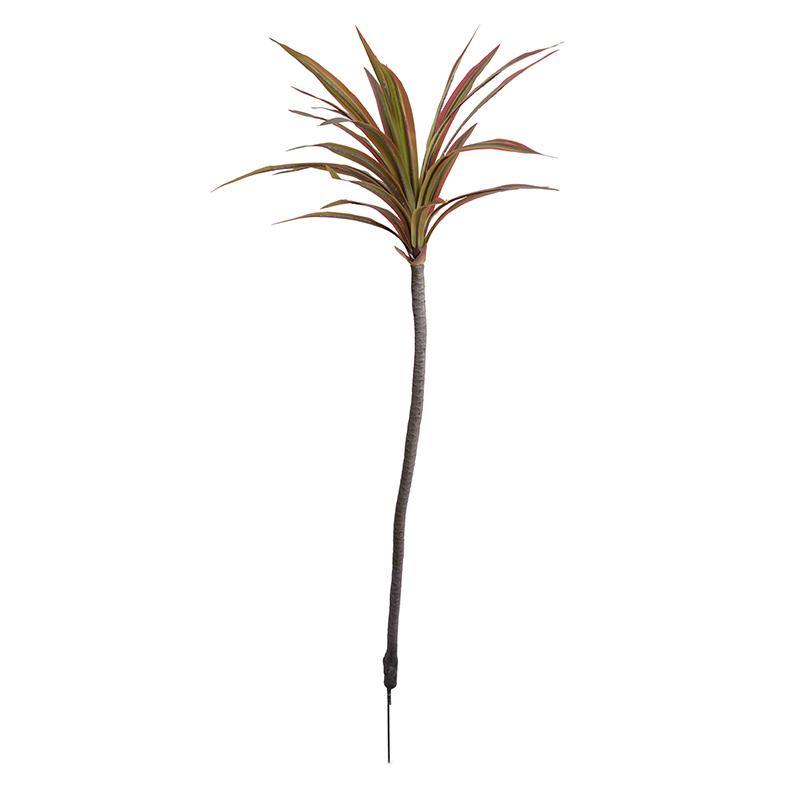 Dracaena Marginata Branch, 54" L