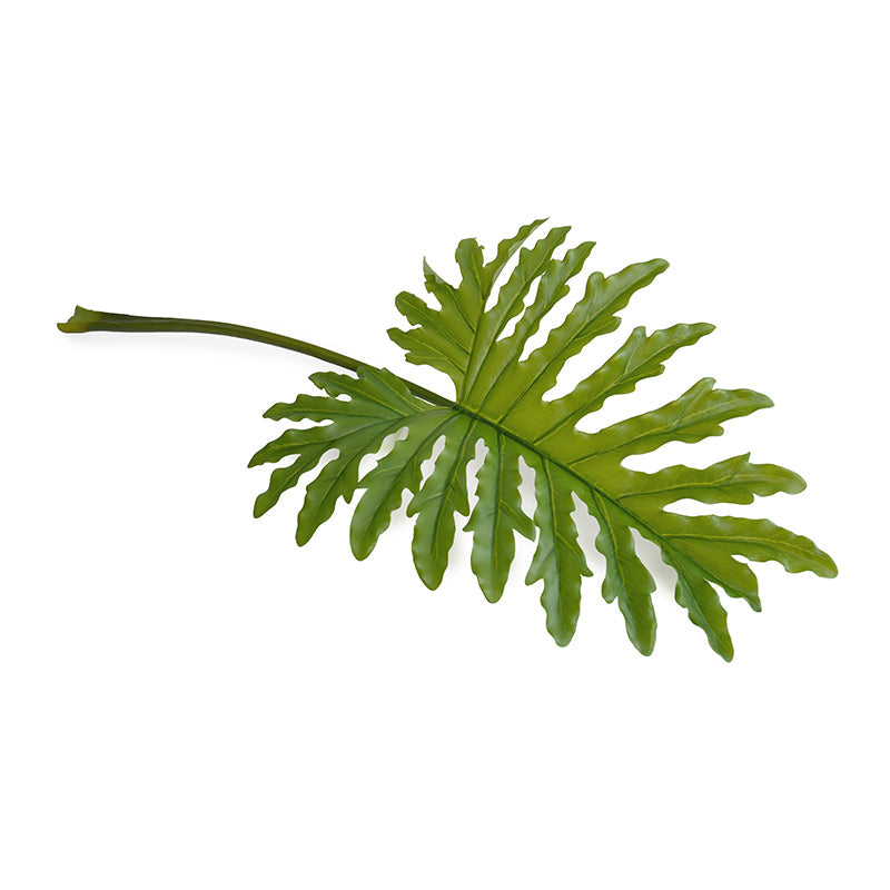 Philodendron Selloum Leaf branch, 36" L