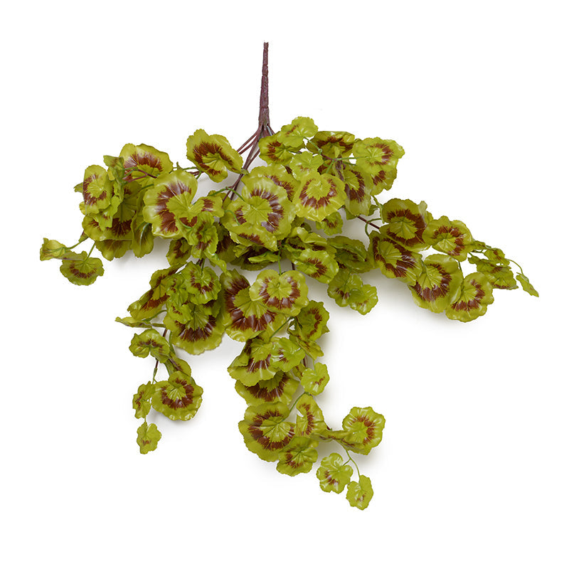 Geranium Ivy Vine 20"L
