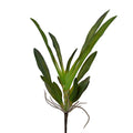 Orchid Foliage 26"