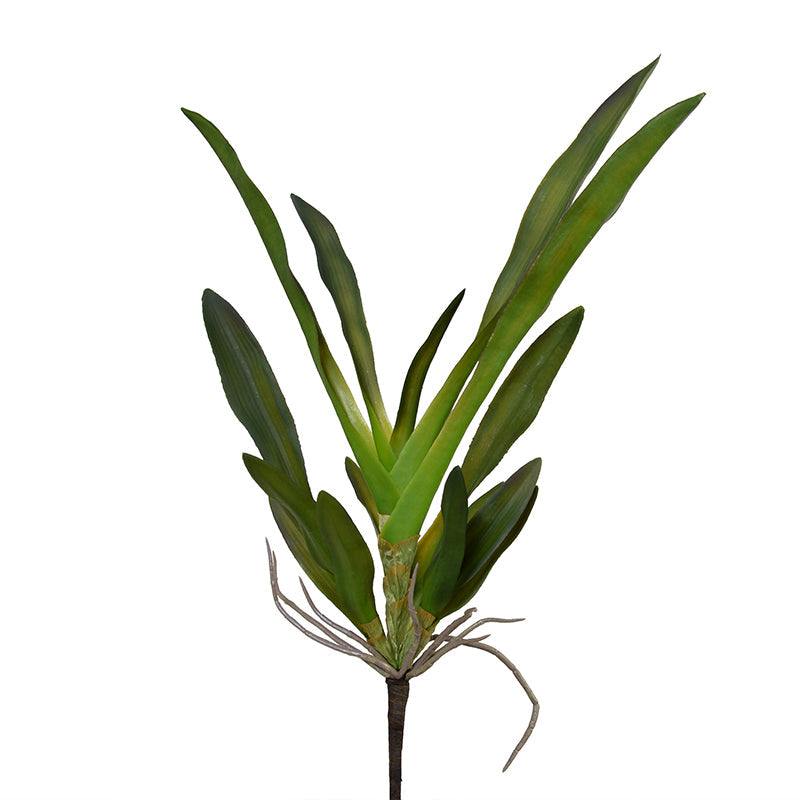 Orchid Foliage 26"