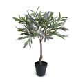 Olive Leaf Topiary 28"