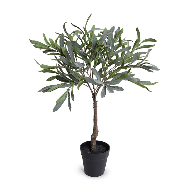 Olive Leaf Topiary 28"