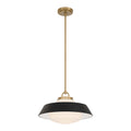 Xander 16'' Vibrant Gold + Matte Black Pendant