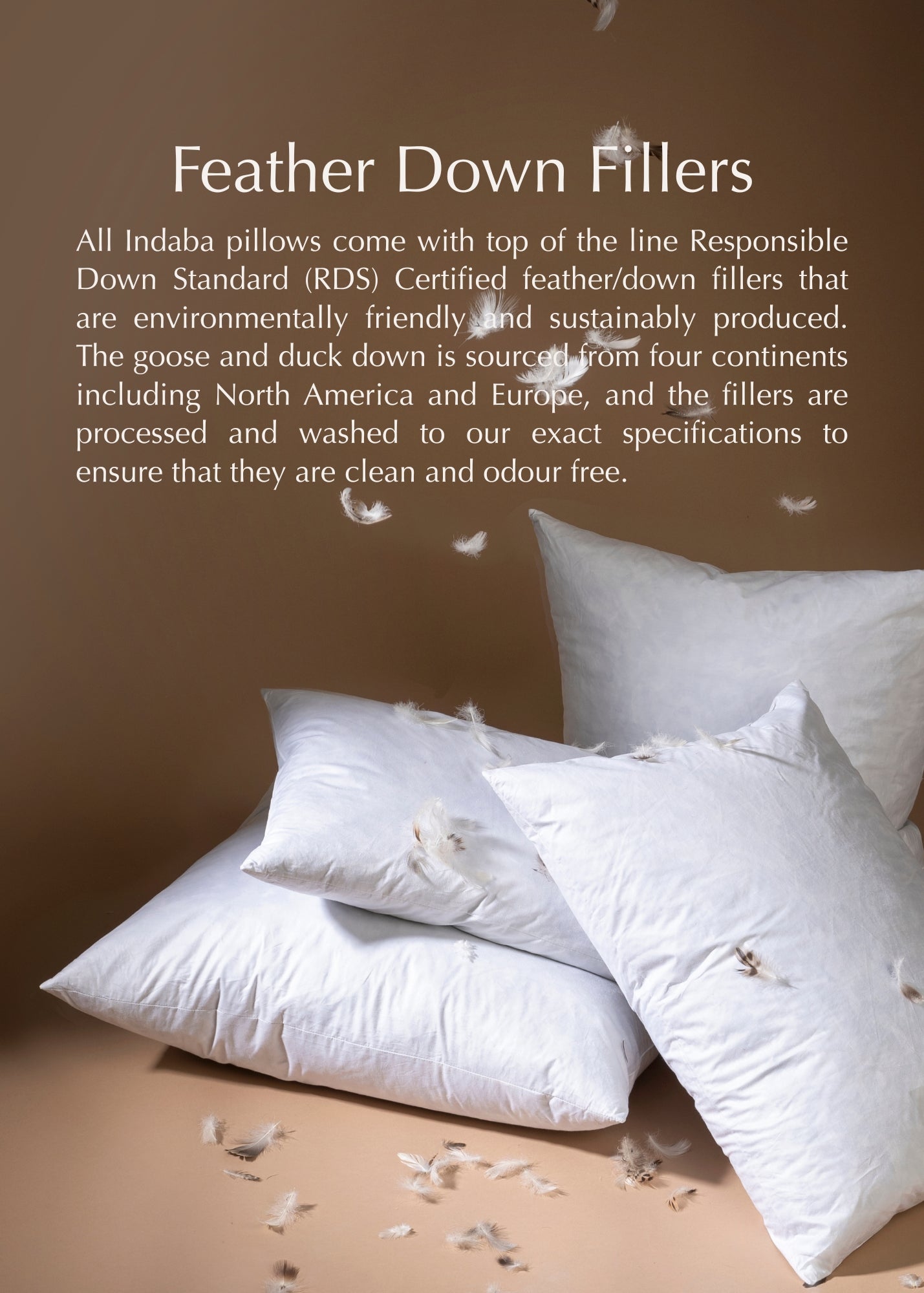 16x24 Boboli Embroidered Pillow