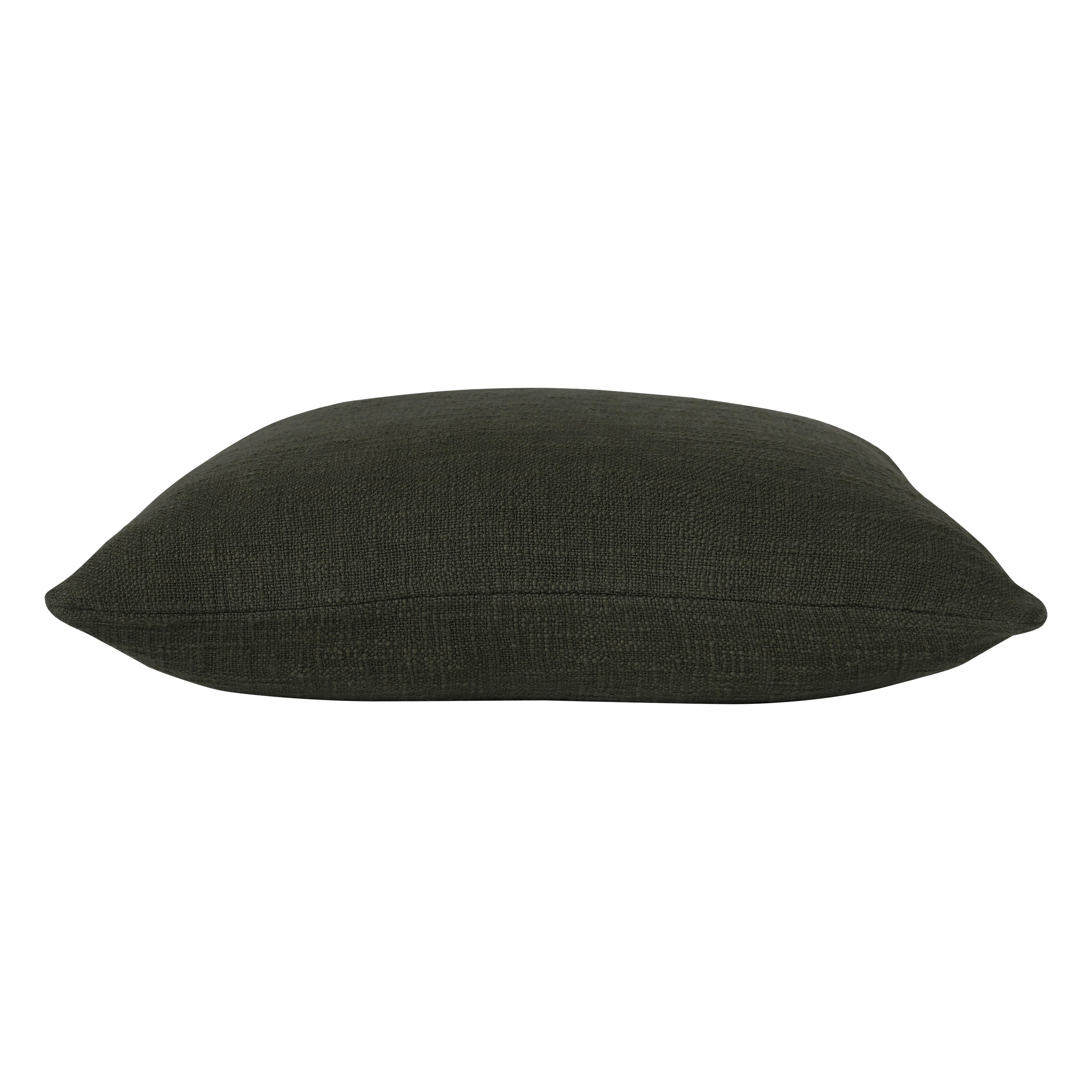 Sandro Indoor Pillow