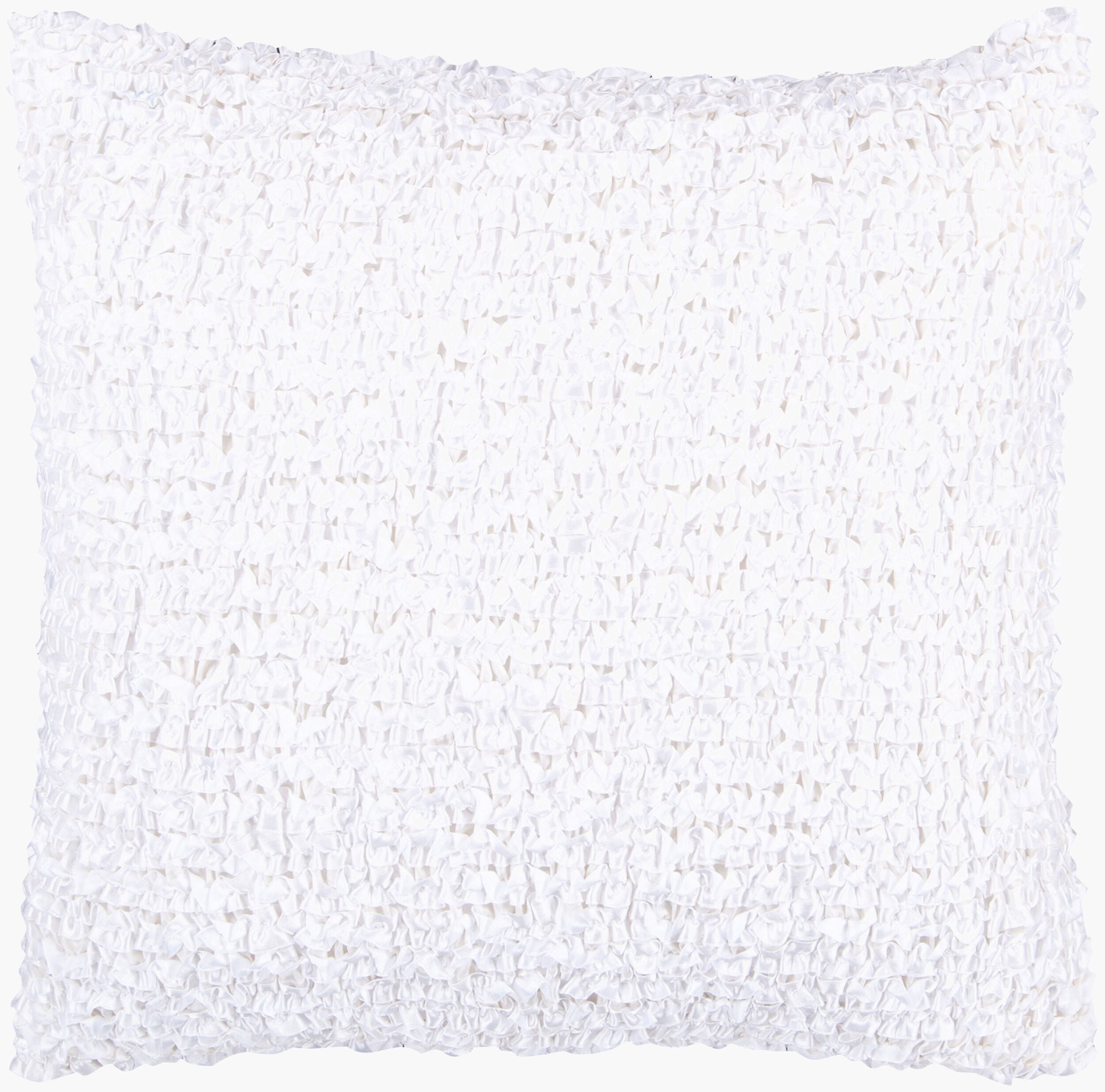 Decorative Pillows Accent Pillow | ACO404