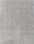 Aleyna Rug | Light Gray | ANE2303