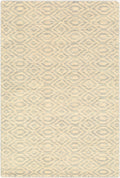 Astara Rug | Medium Gray | ASA1004