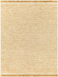 Aylin Rug | Black | AYI2303