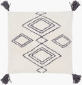 Braith Accent Pillow | BRH001