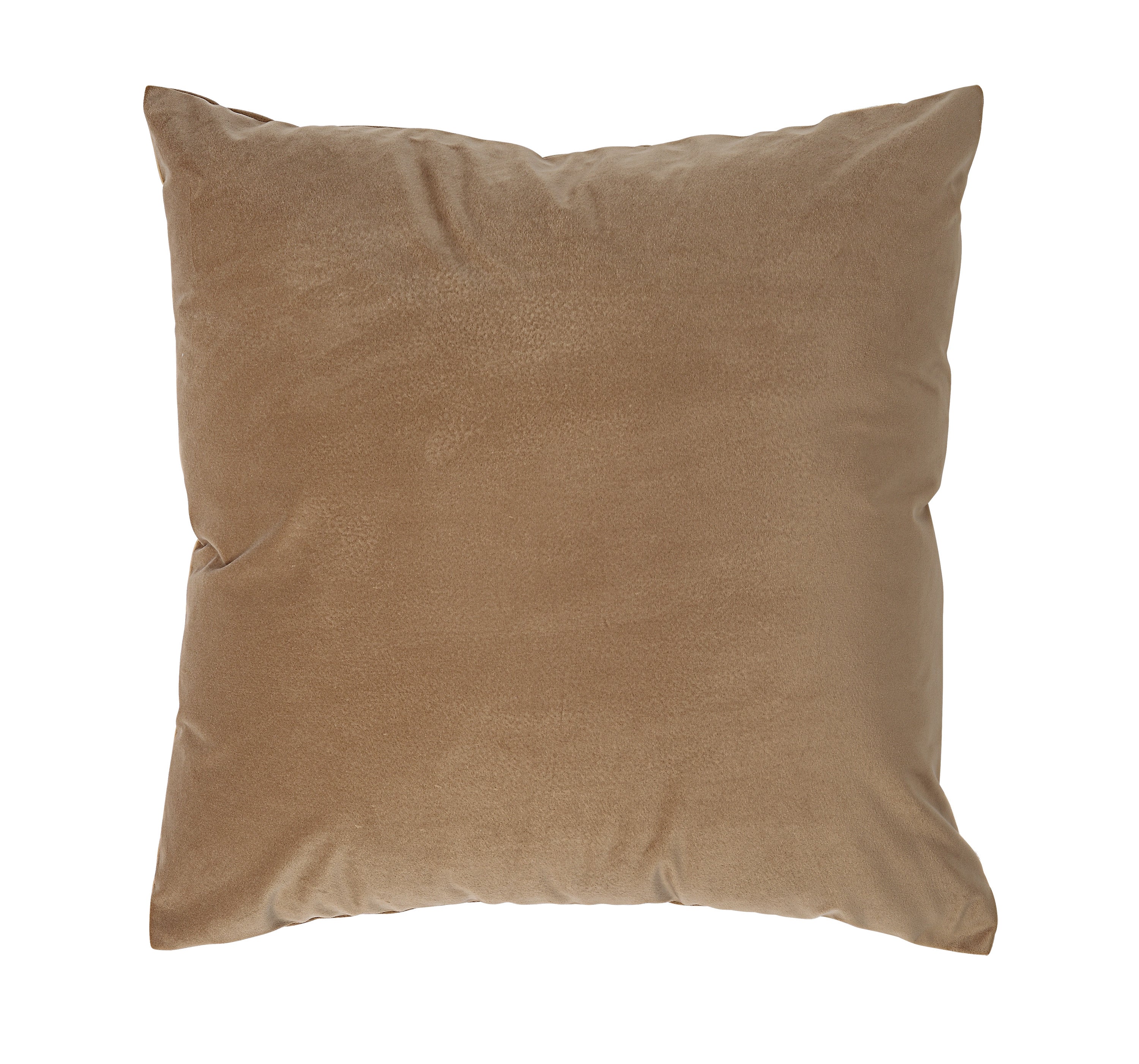 Alchemilla Indoor Pillow