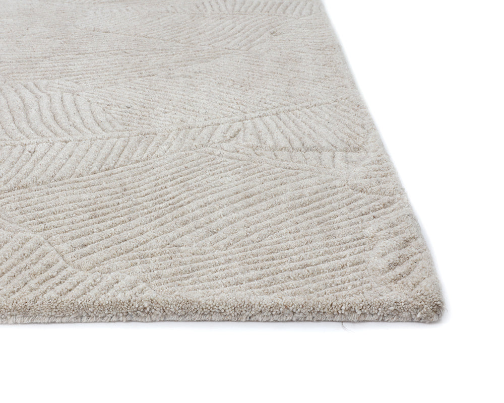 Calathea Hand-Tufted Rug - Oatmeal - 10' X 14'