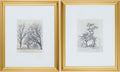 Coconino Framed Art | COCO001