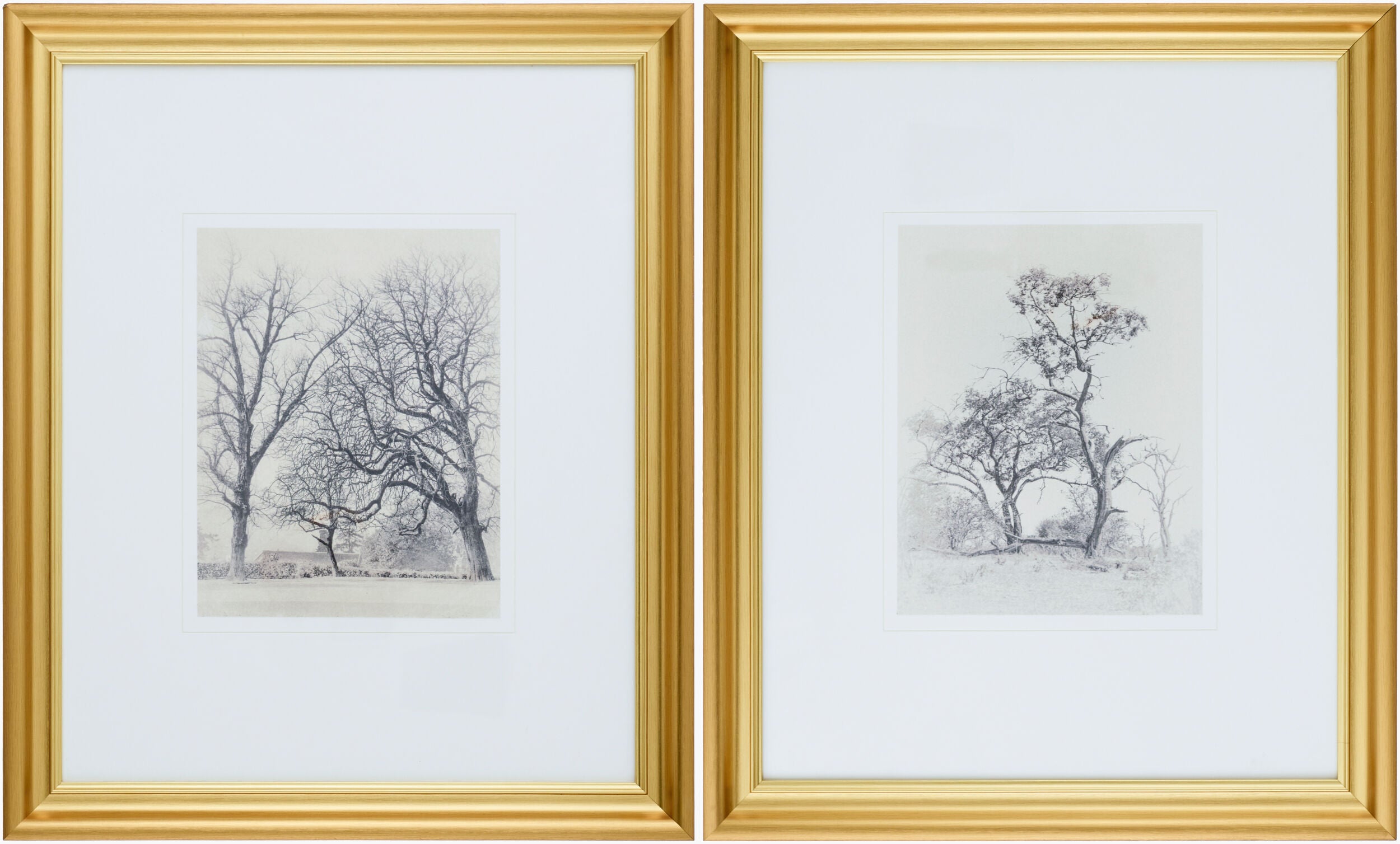 Coconino Framed Art | COCO001