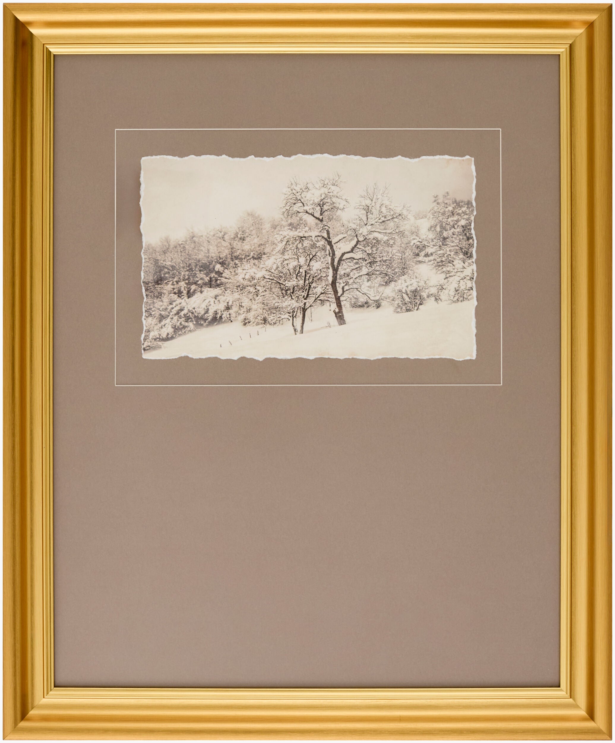 Coconino Framed Art | COCO002