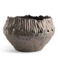 Cove Bowl