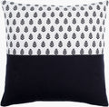 Chromatique Accent Pillow | CTQ001