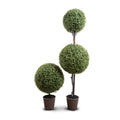 Boxwood Ball Custom Topiary