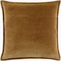 Cotton Velvet Accent Pillow | CV101