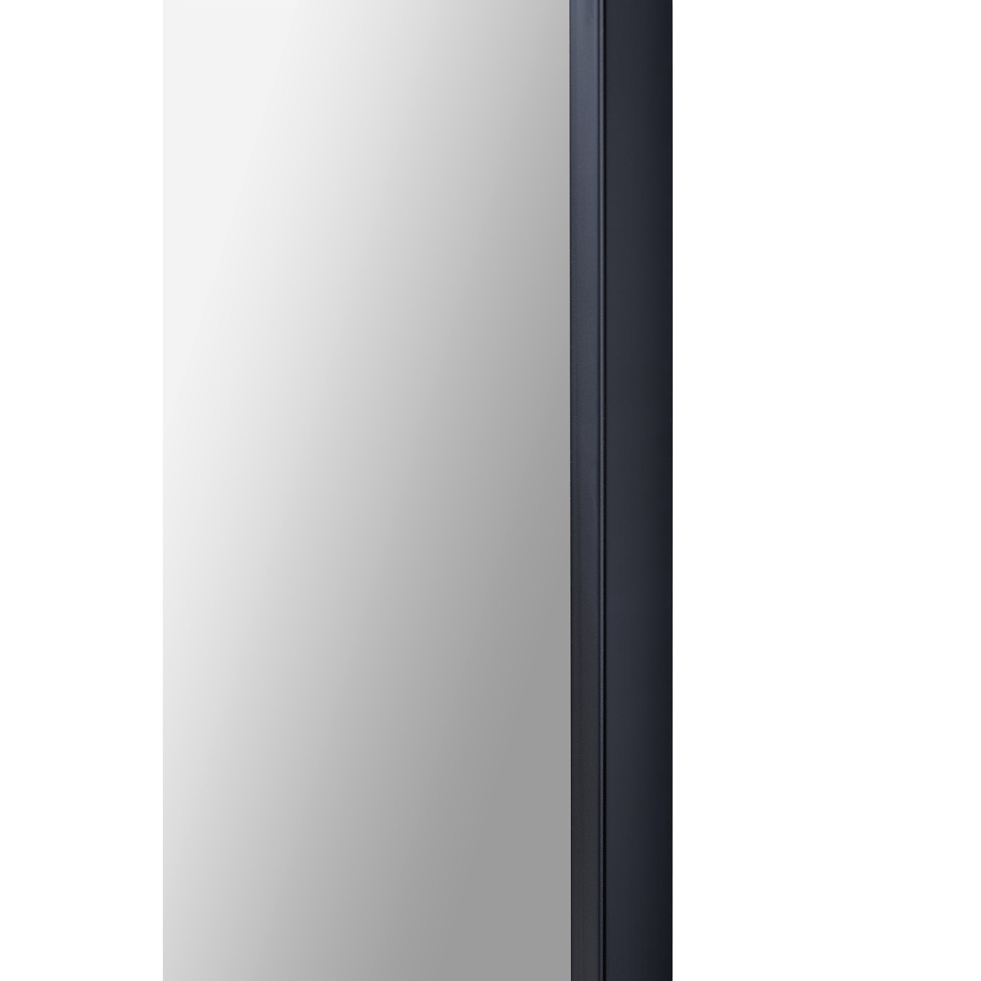 Waren Wall Mirror | Wide