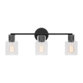 Sayward 3-Light Bath Sconce | Midnight Black Bulb(s) Not Included