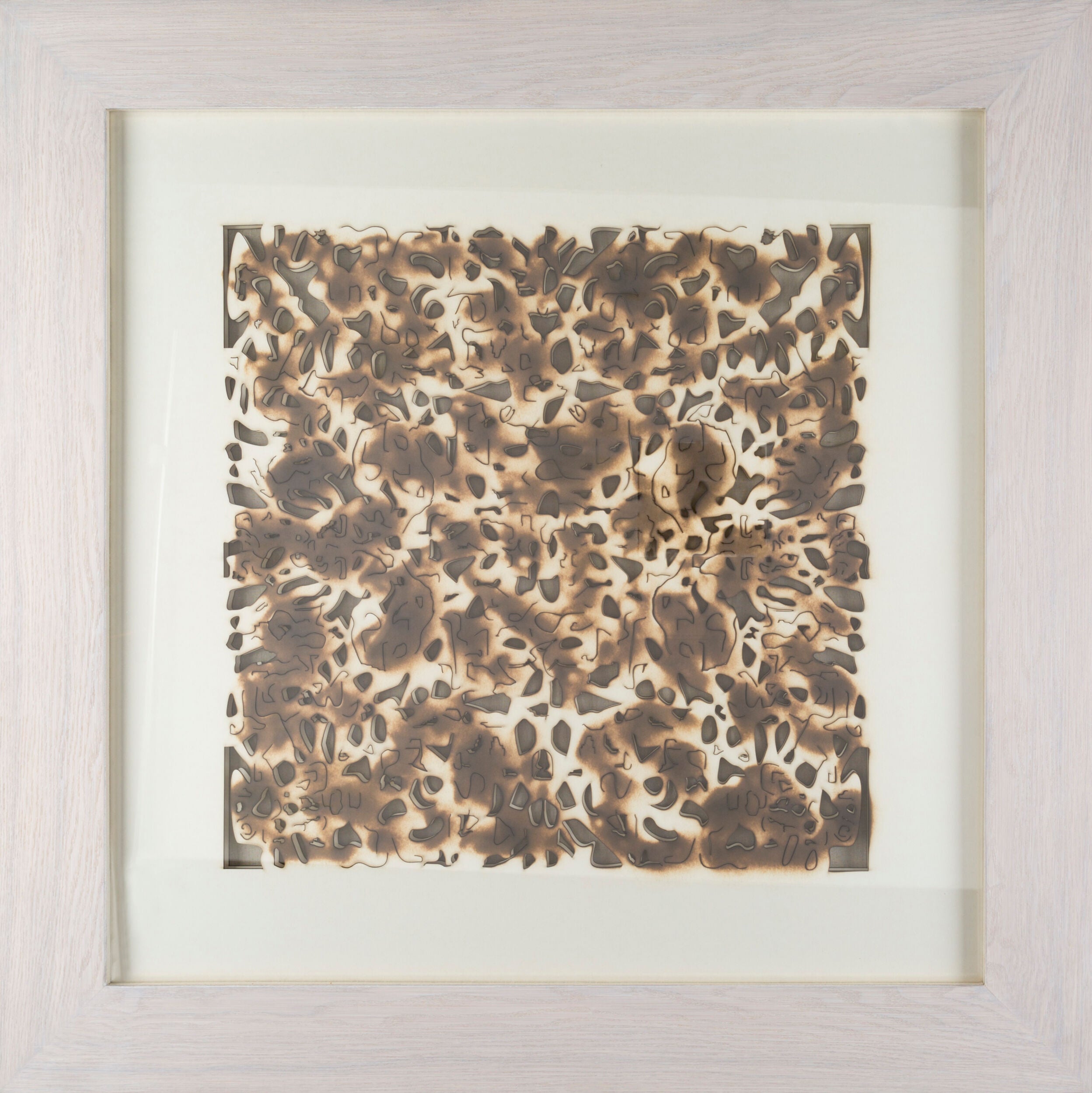 Daintree Framed Art | DNT8000