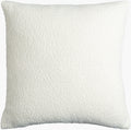 Eesha Accent Pillow | ESH001