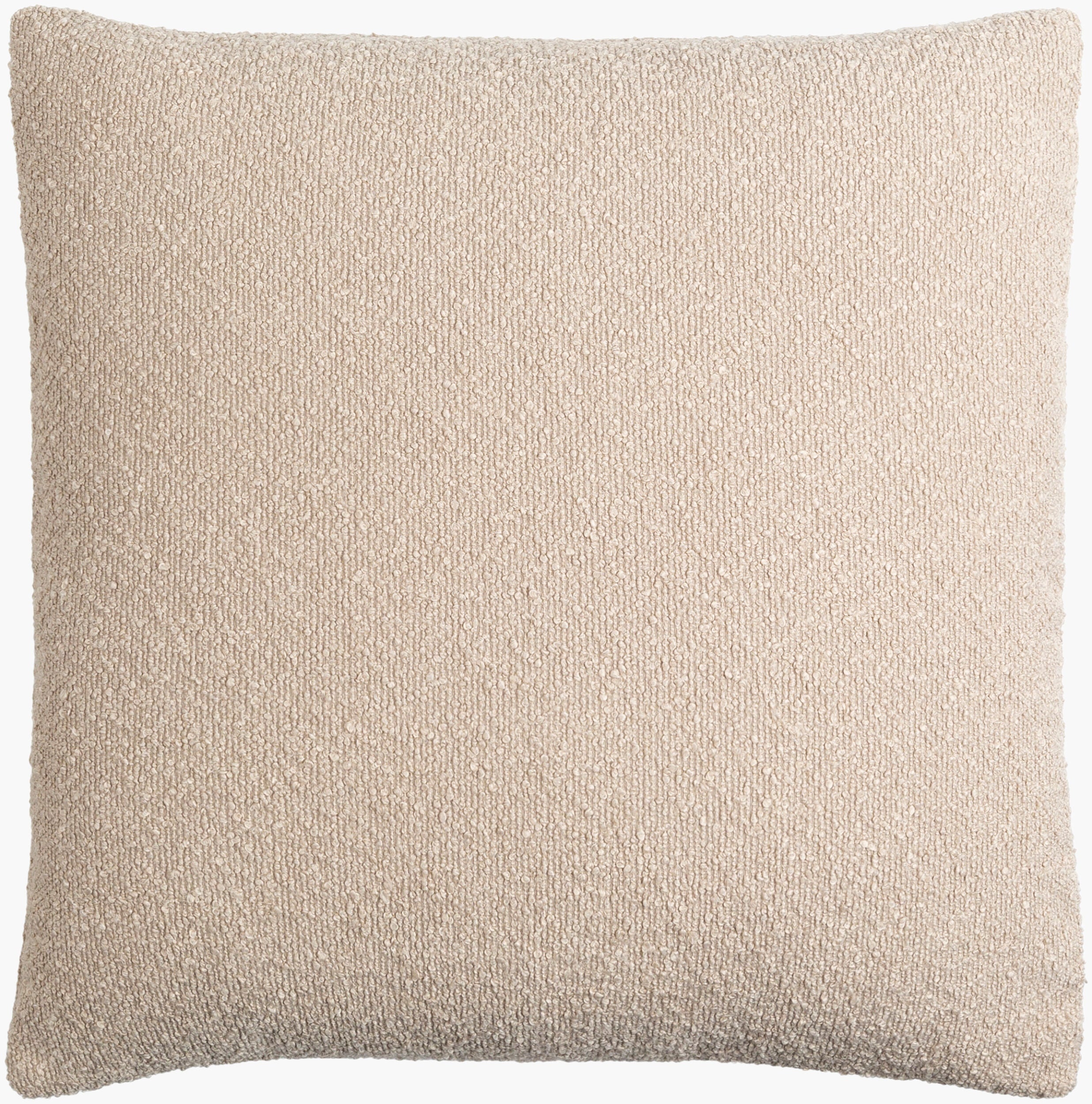 Eesha Accent Pillow | ESH009