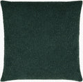 Eesha Accent Pillow | ESH013