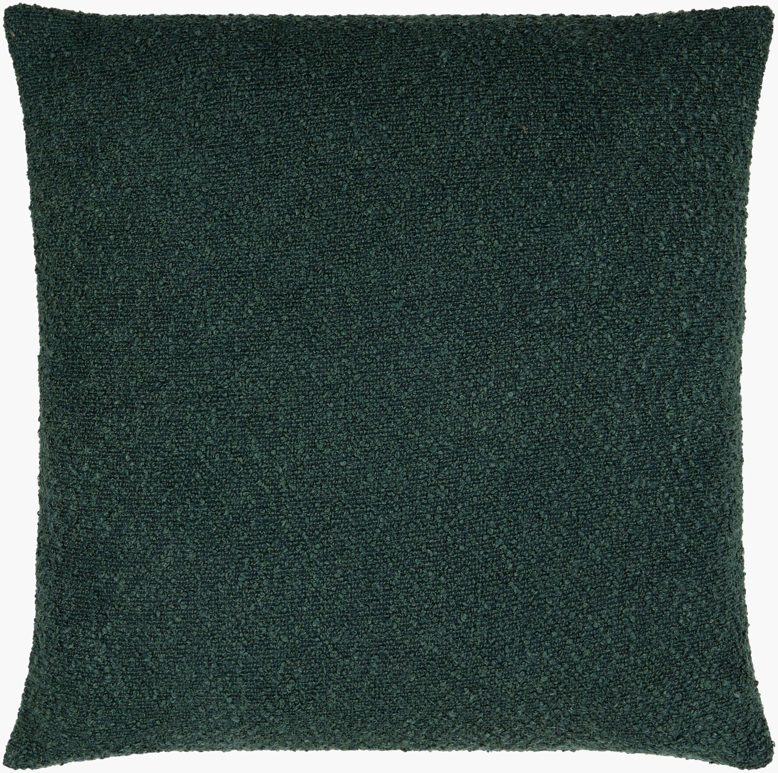 Eesha Accent Pillow | ESH013