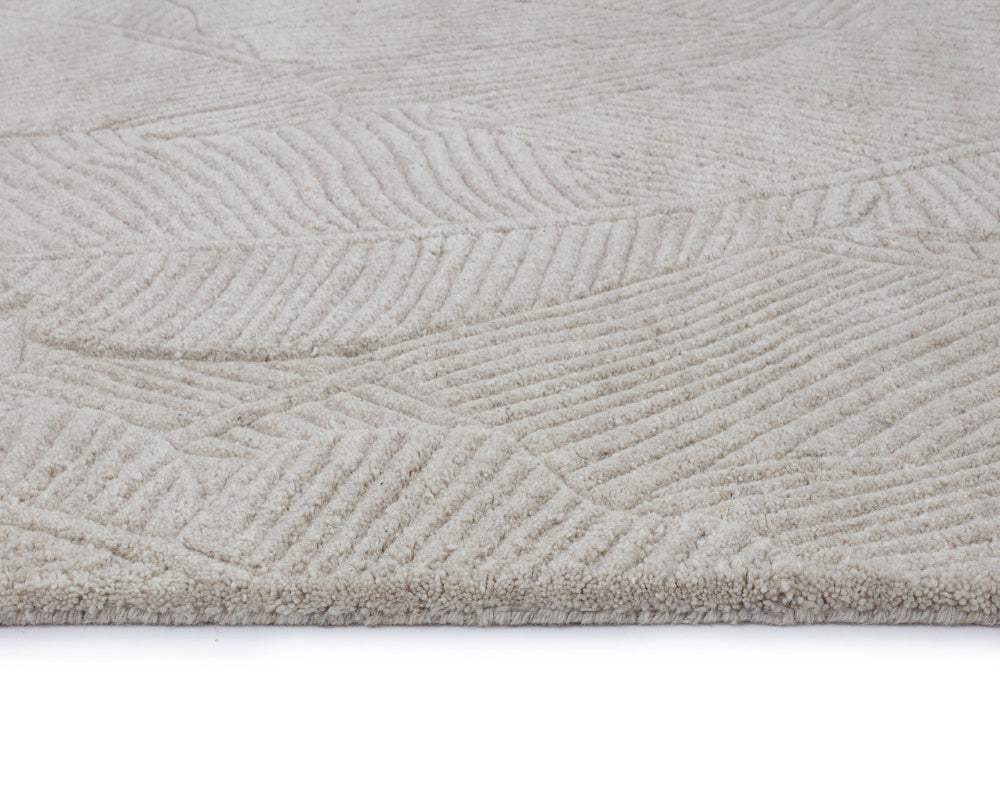 Calathea Hand-Tufted Rug - Oatmeal - 10' X 14'