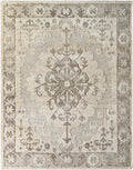 Hadiya Rug | Taupe | HAY2300