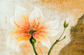 Surya Wall Decor Framed Art | HPO5021