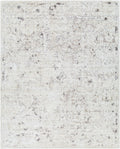 Jordan Rug | Charcoal | JOR2306