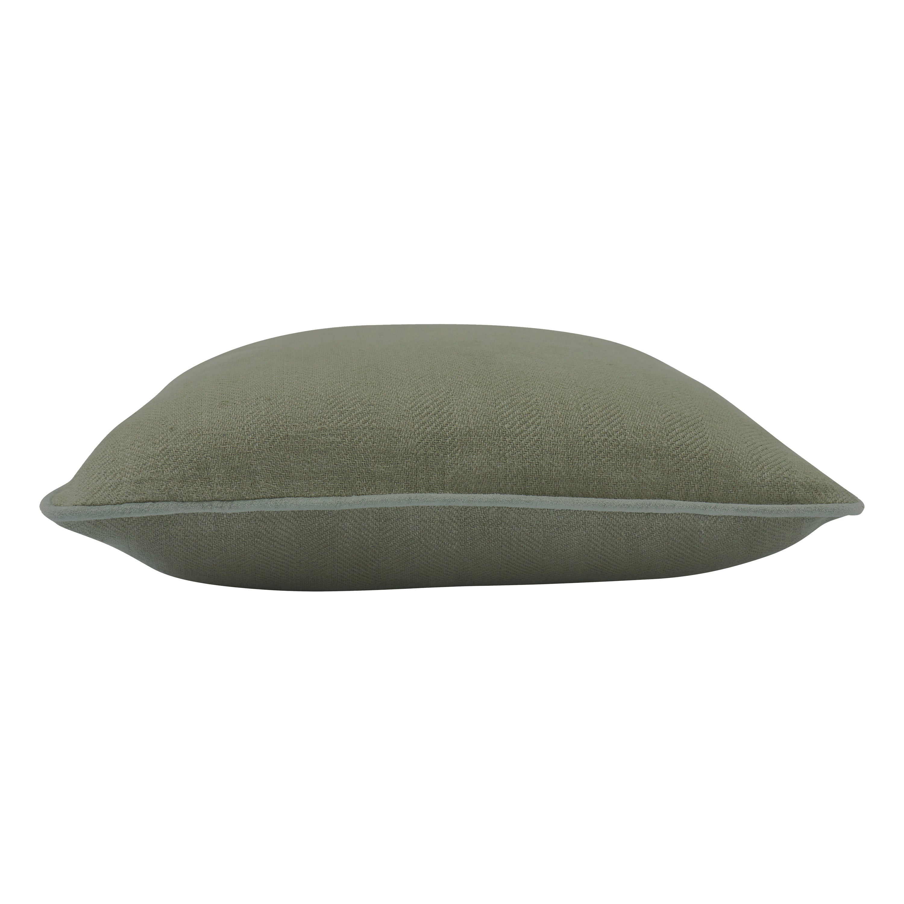 Lavigne Indoor Pillow