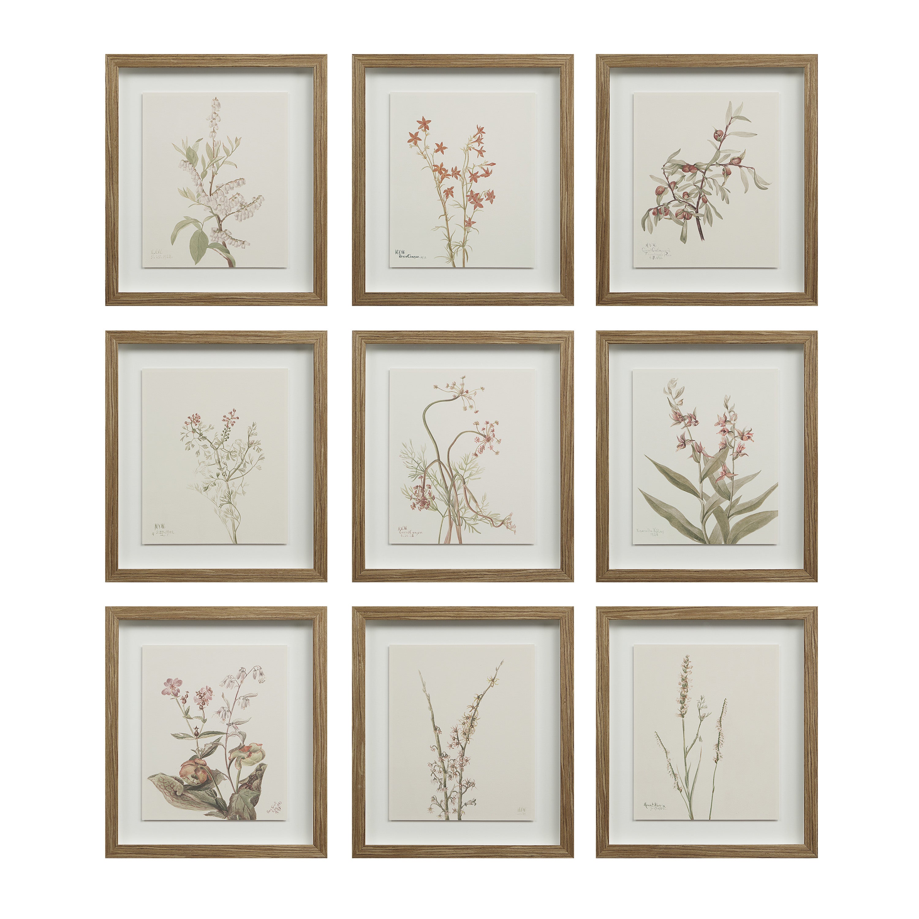 Crema Wall Decor