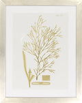 Surya Wall Decor Framed Art | LJ4009